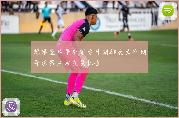 绿军重启争夺字母计划雄鹿为布朗寻求第三方交易机会